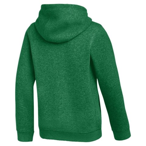 Bluza dla dzieci Nike Park 26 Fleece Hoodie zielona IB1226 302 Nike