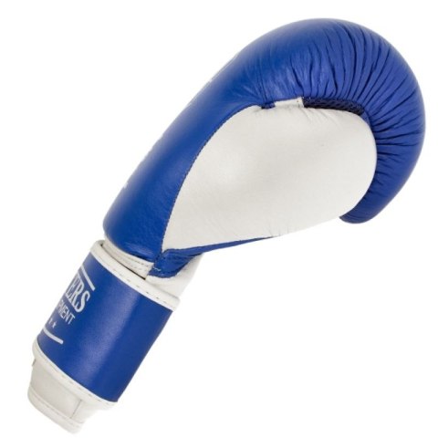 Rękawice bokserskie skórzane MASTERS RBT-TRW 01210-02 Masters