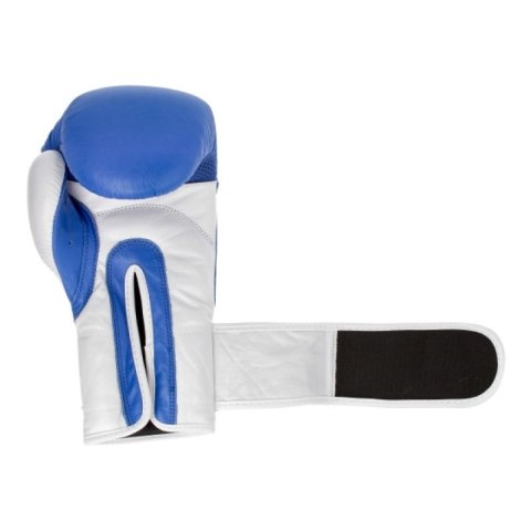 Rękawice bokserskie skórzane MASTERS RBT-TRW 01210-02 Masters