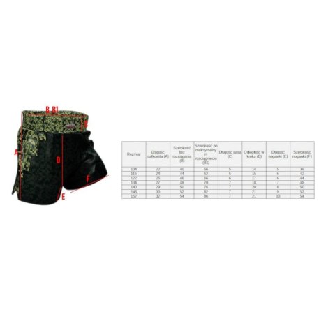 Spodenki Masters treningowe Junior Mfc "Mine" Jr 06692-140 Masters