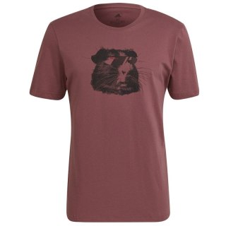 Koszulka adidas 5.10 Glory Tee M H59754 Adidas