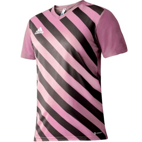 Koszulka adidas Entrada 22 Graphic Jersey Jr HC2632 Adidas