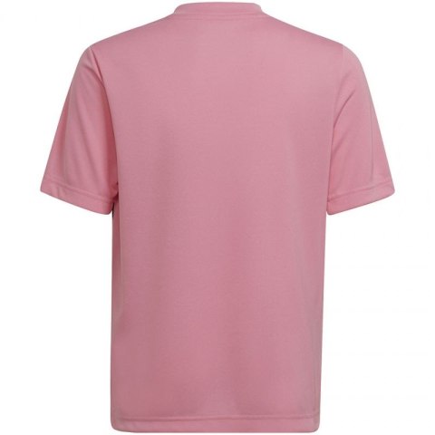 Koszulka adidas Entrada 22 Graphic Jersey Jr HC2632 Adidas