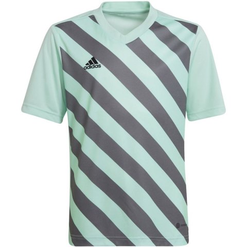 Koszulka adidas Entrada 22 Graphic Jersey Jr HF0127 Adidas