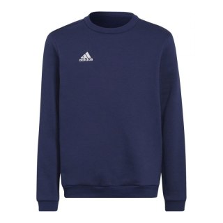 Bluza adidas Entrada 22 Hoody Jr H57568 Adidas