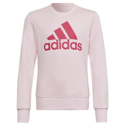 Bluza adidas Big Logo SWT Jr HM8709 Adidas