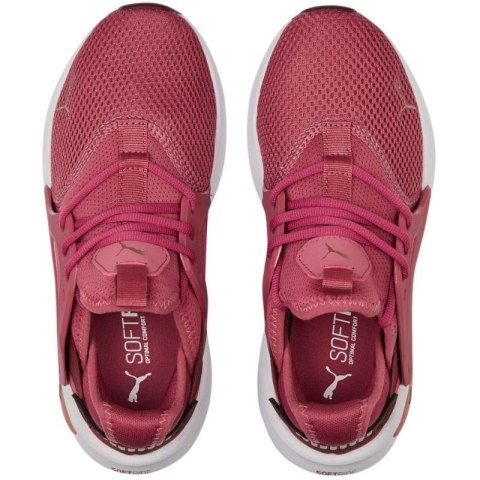 Buty Puma Softride Enzo Evo W 377048 05 Puma