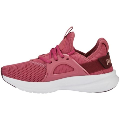 Buty Puma Softride Enzo Evo W 377048 05 Puma