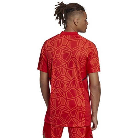 Koszulka adidas Condivo 22 Goalkeeper Jersey Short Sleeve M H21238 Adidas