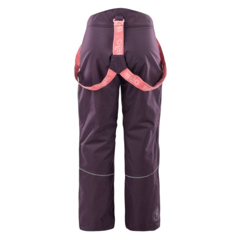 Spodnie narciarskie Bejo Jarmo Jr 92800439475 Bejo